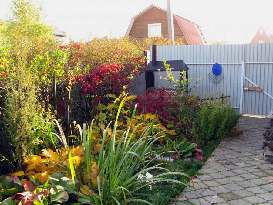 Красивые осенние дачные участки