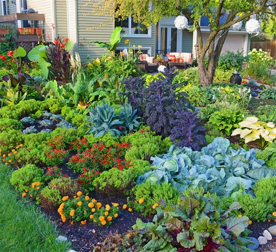 Овощной миксбордер