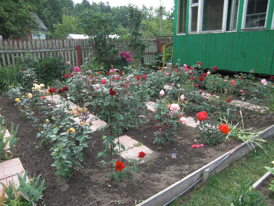 Ухоженные огороды и палисадники