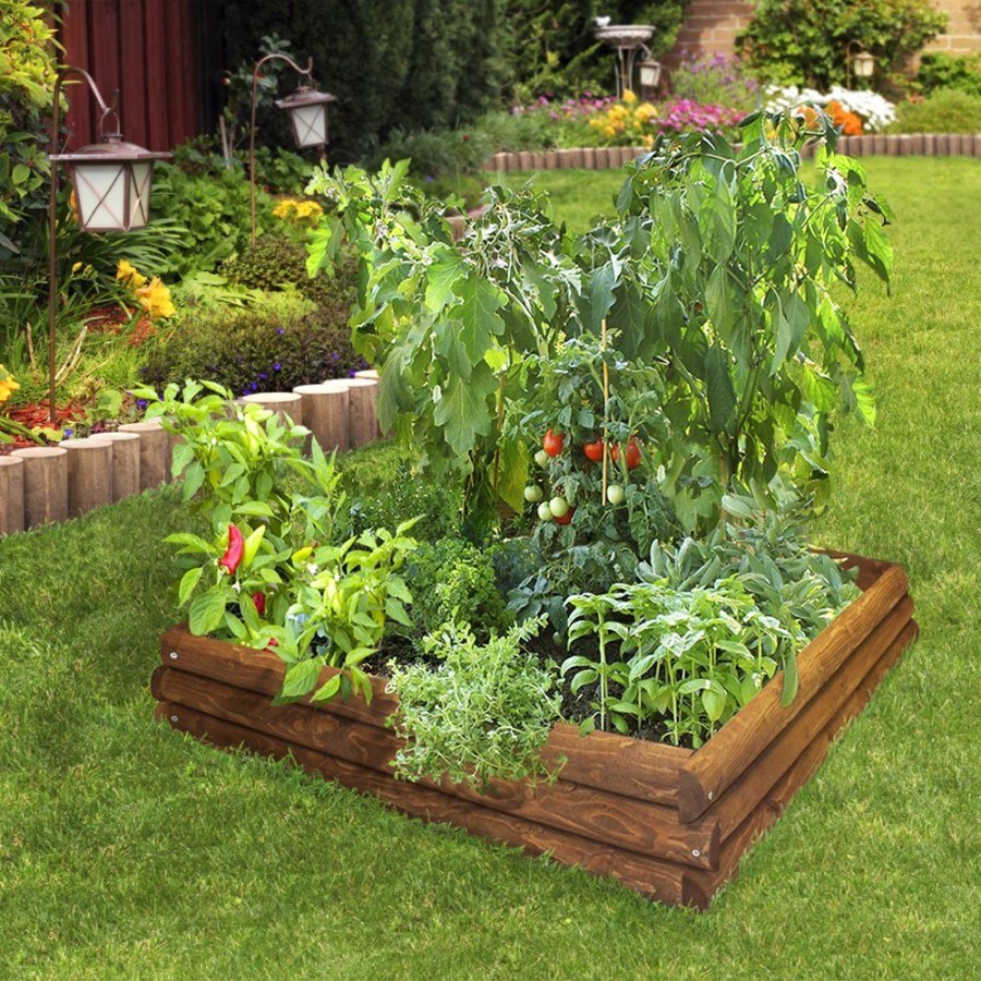 Грядки и клумбы на даче