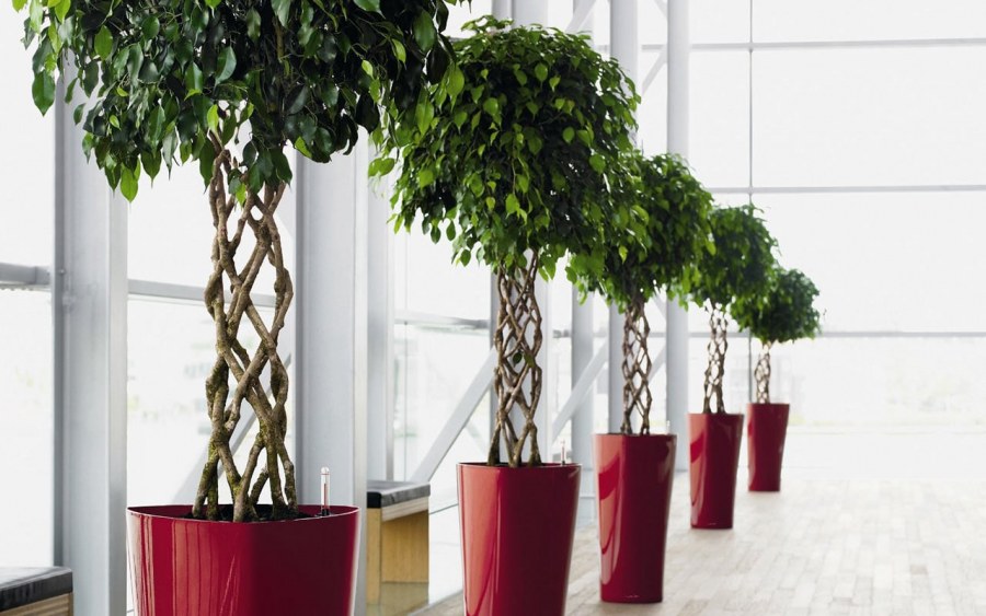 Искусственное дерево для интерьера