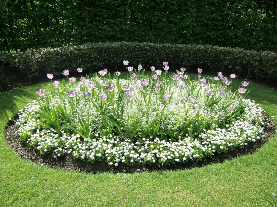 Полуовальная клумба