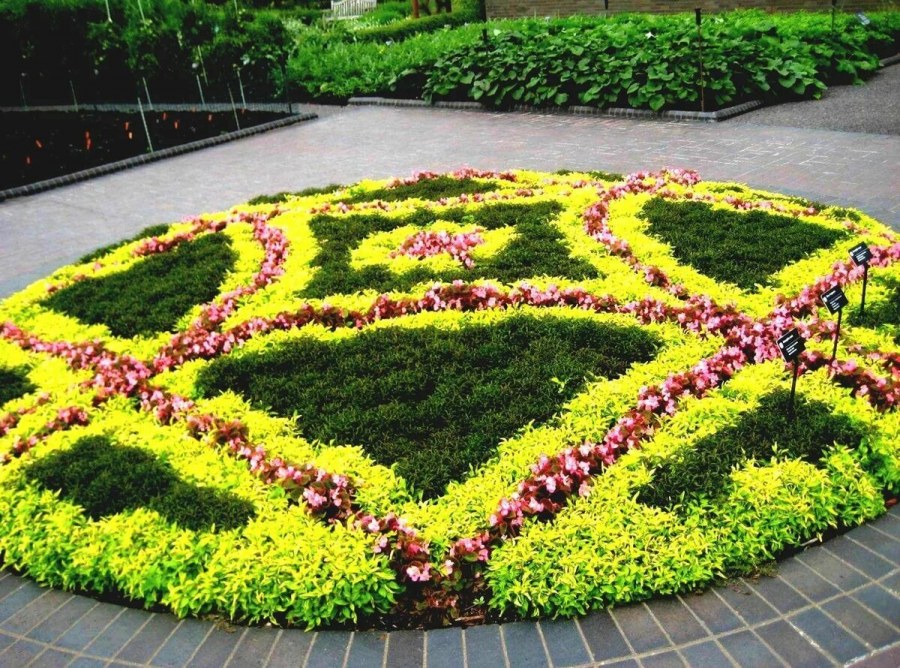 Арабеска клумба