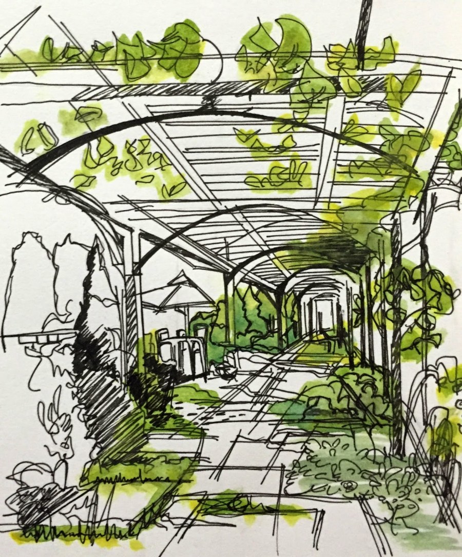 Деревья на клаузуре