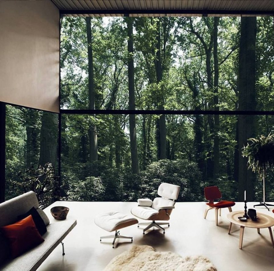 Панорамные окна лес