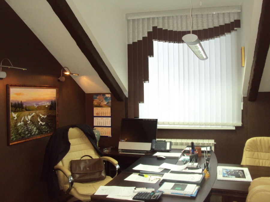 Жалюзи в кабинет