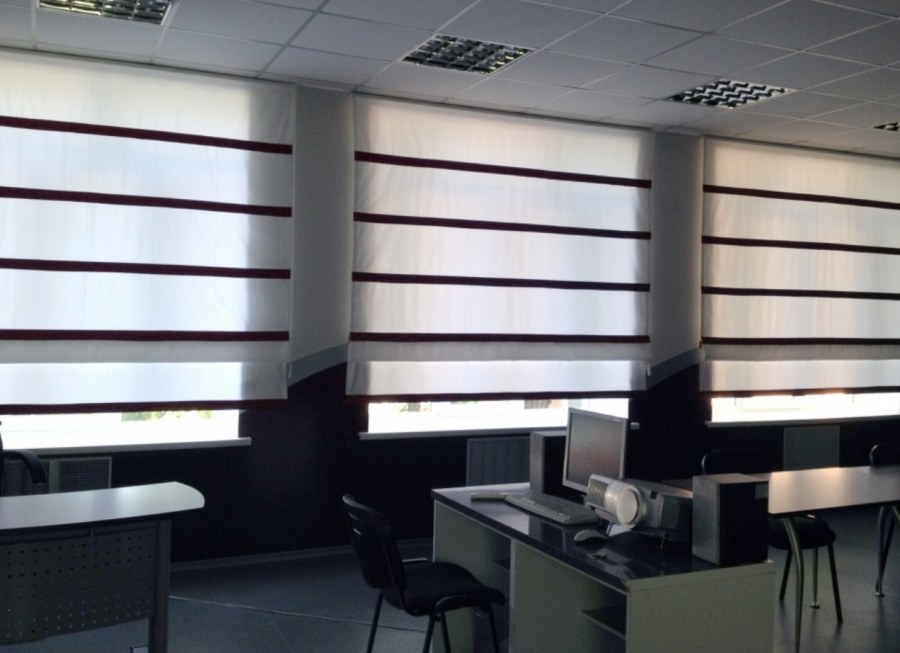 Жалюзи в кабинет директора
