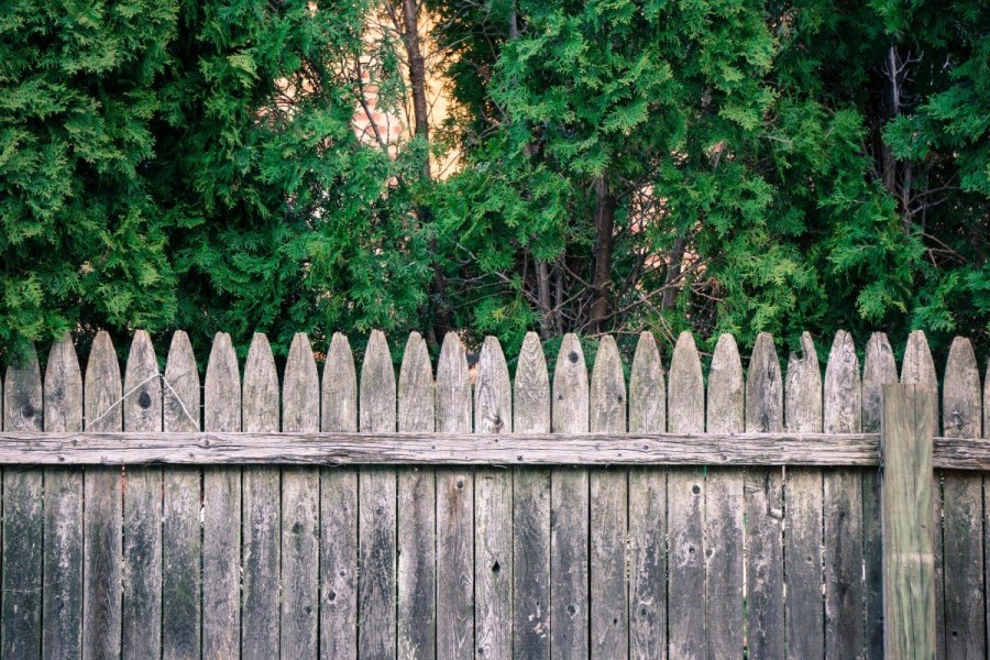 Старый забор