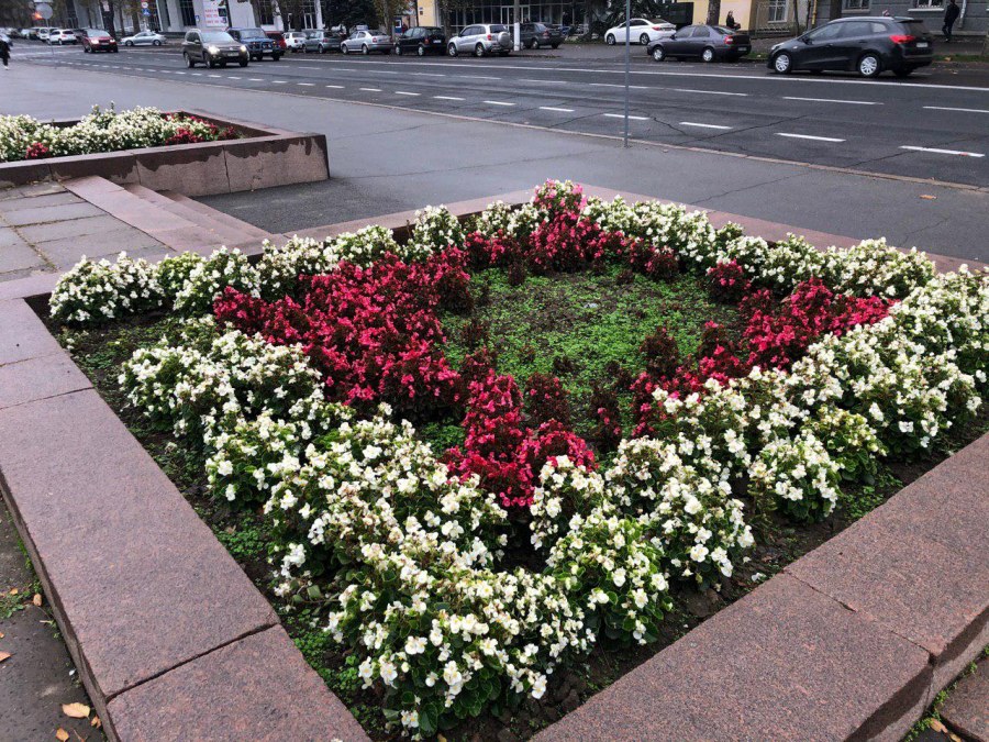 Прямоугольная клумба