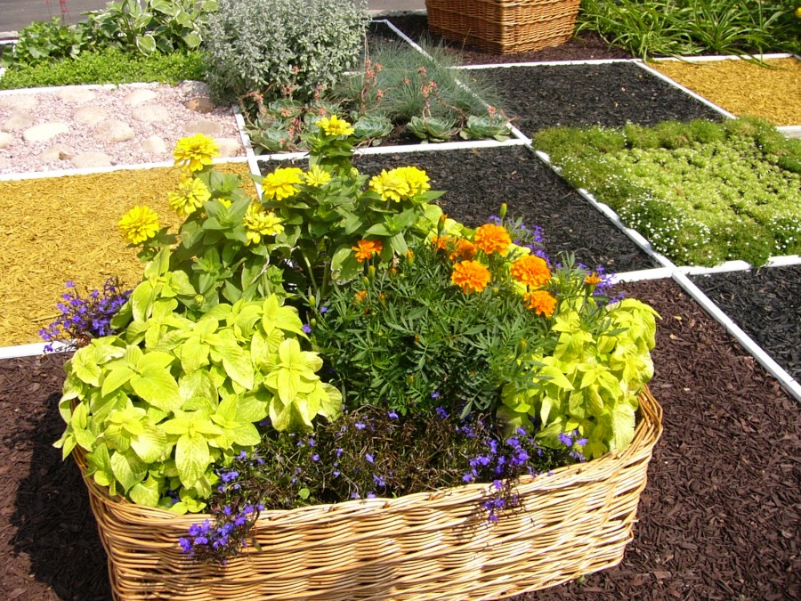 Выставка цветников