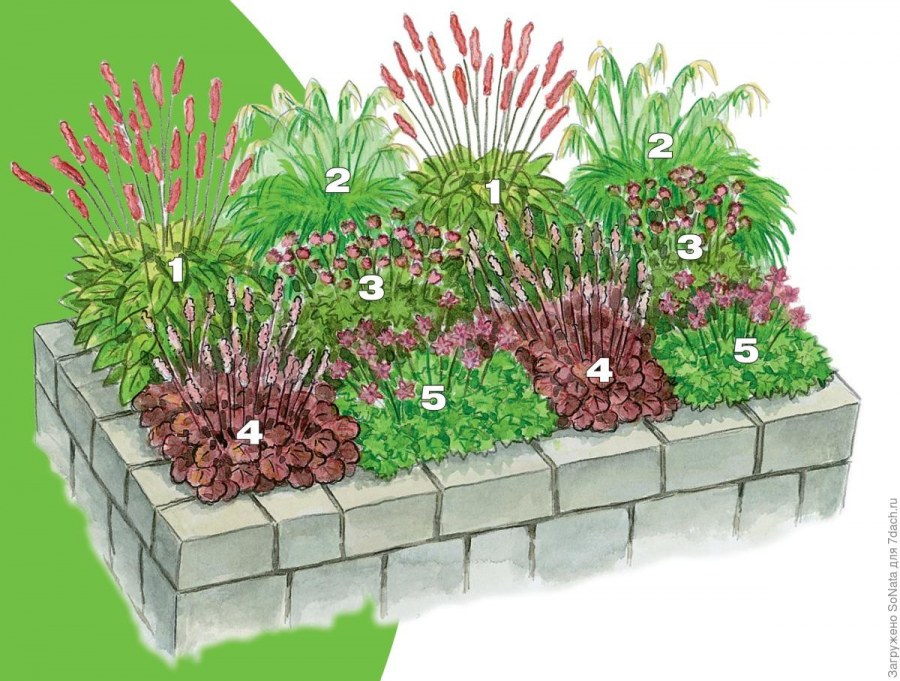 Клумба из теневыносливых многолетников