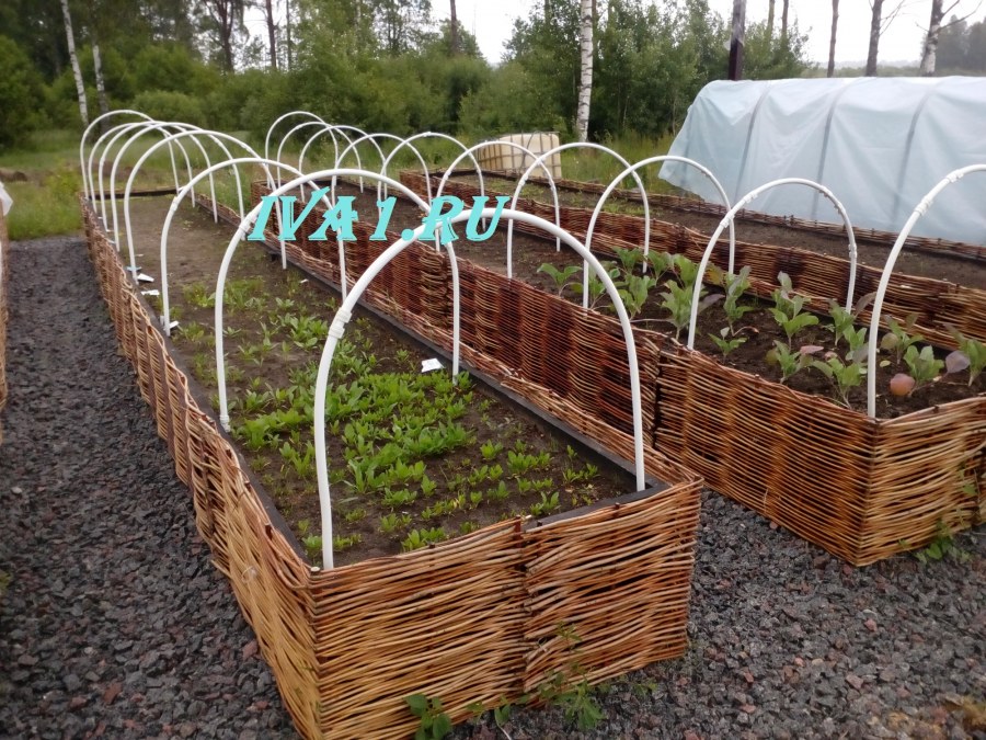 Плетеные ограждения для грядок