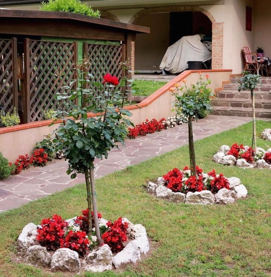 Приствольный круг яблони из кирпича