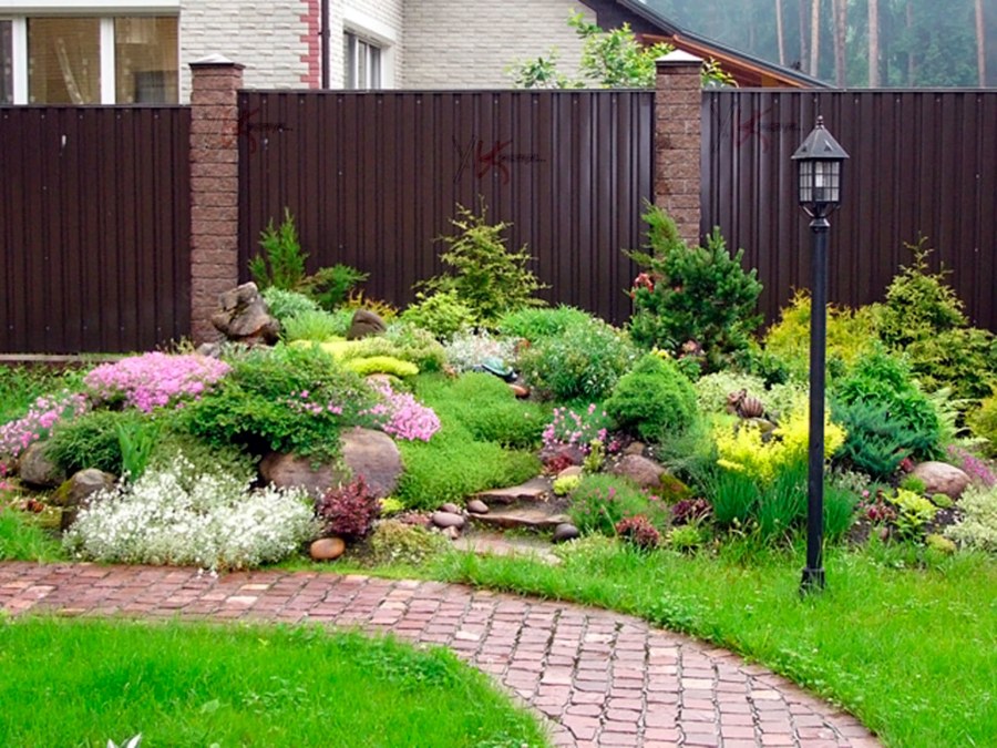 Рабатка лилейник