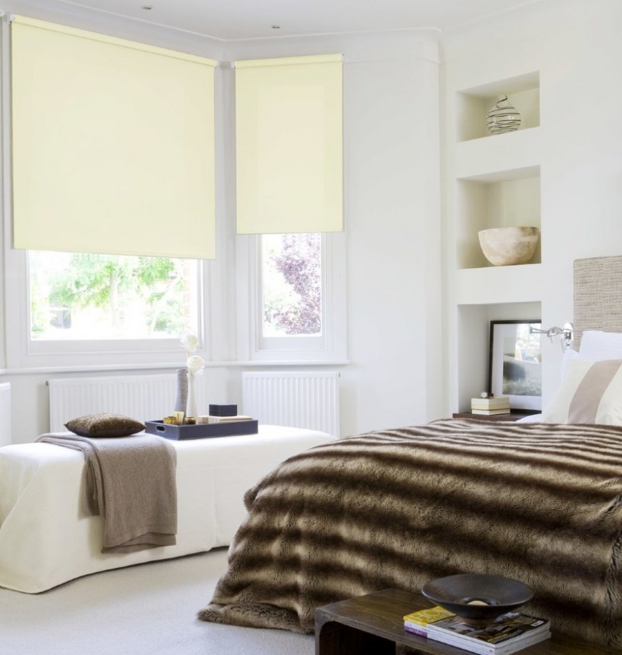 Рулонные шторы Эскар Blackout