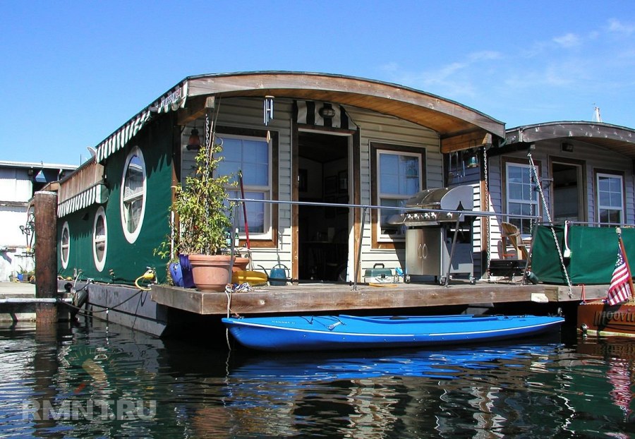 Фон за окном лес озеро