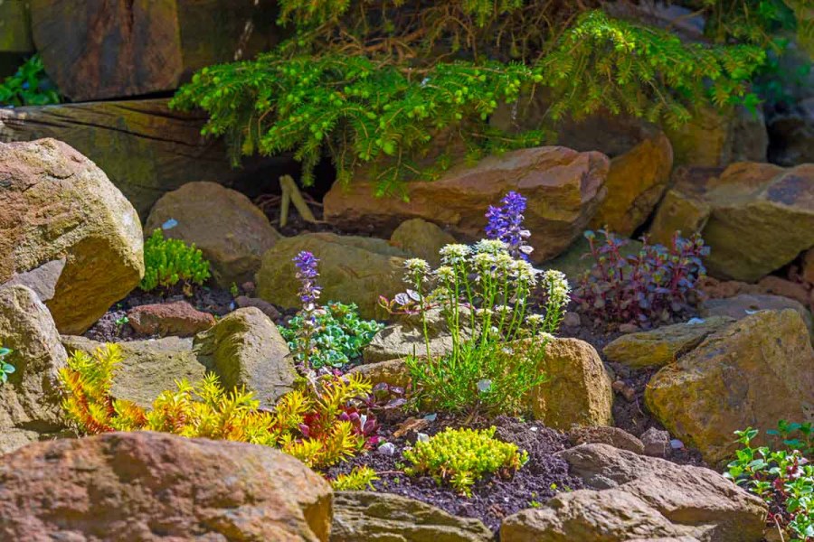 Рокарий горный ручей