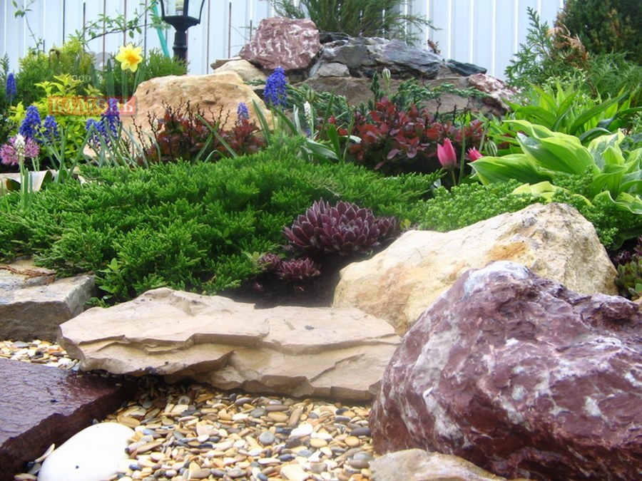 Ландшафт Альпийская горка рокария