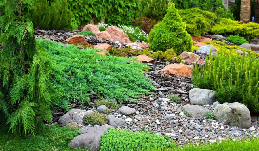 Рокарий горный ручей