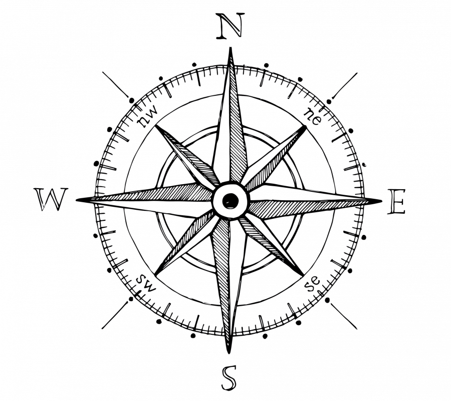 Роза ветров макет