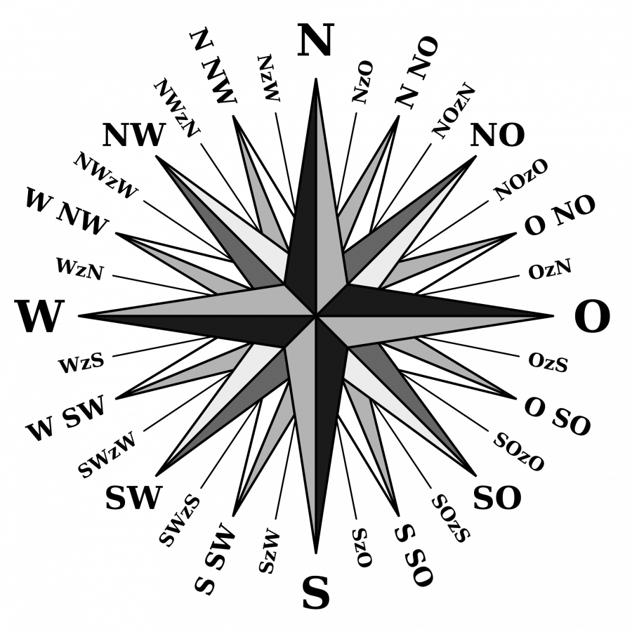 Роза ветров Сочи пляж