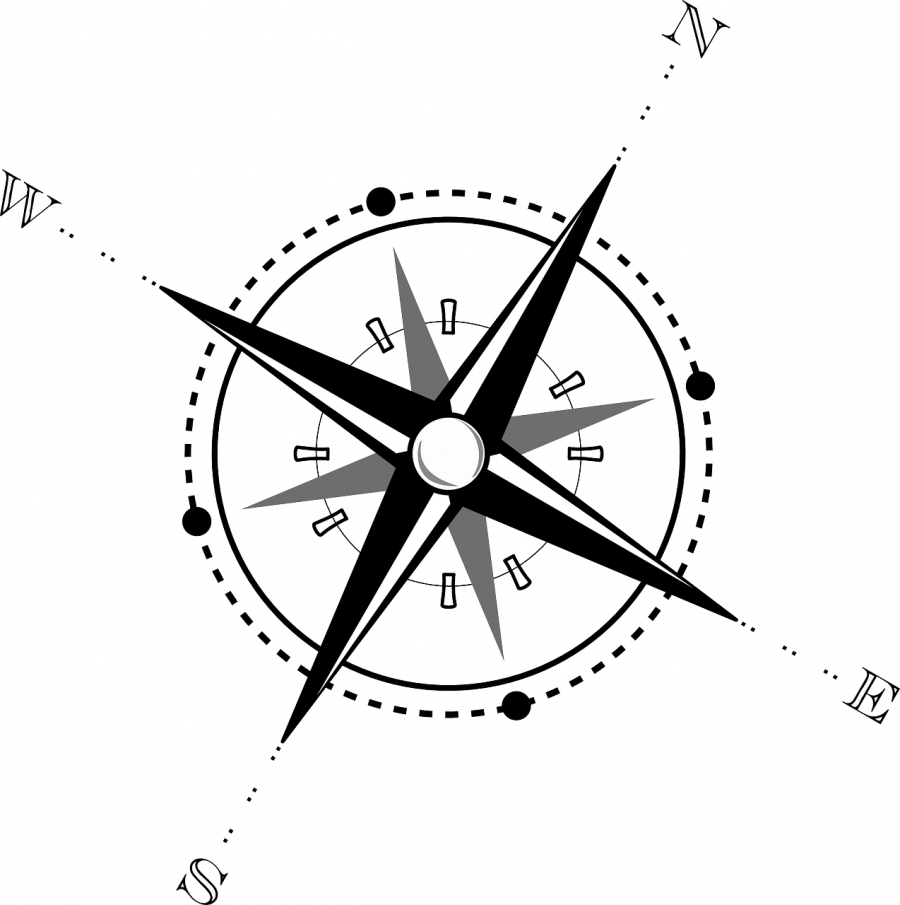 Роза ветров преобладающее направление