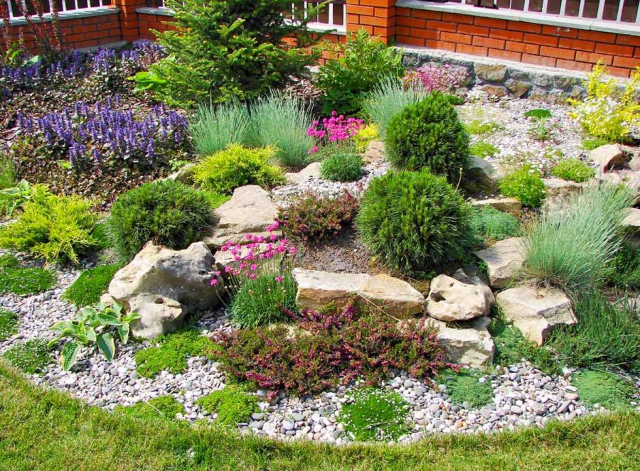 Рокарий с альпийской горкой