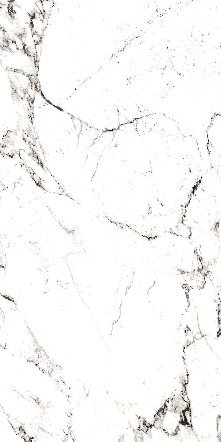 Плитка Tucci Black/60x60/p