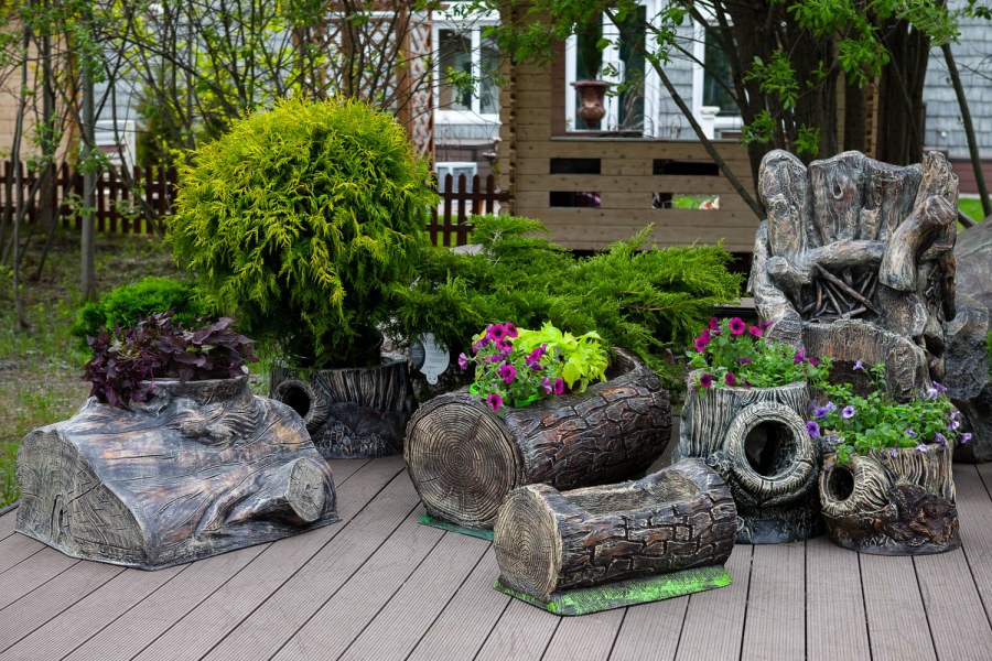 Рутарий туя