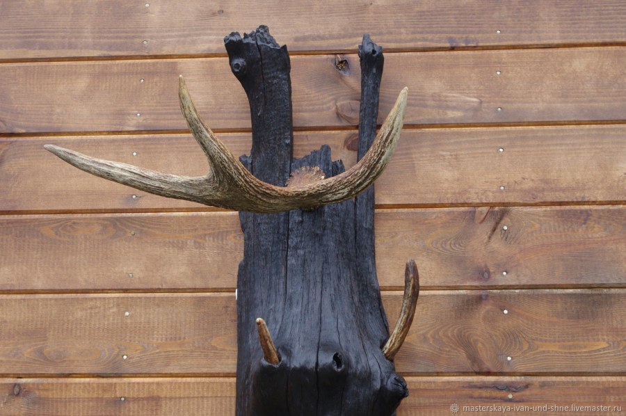 Белые рога в интерьере