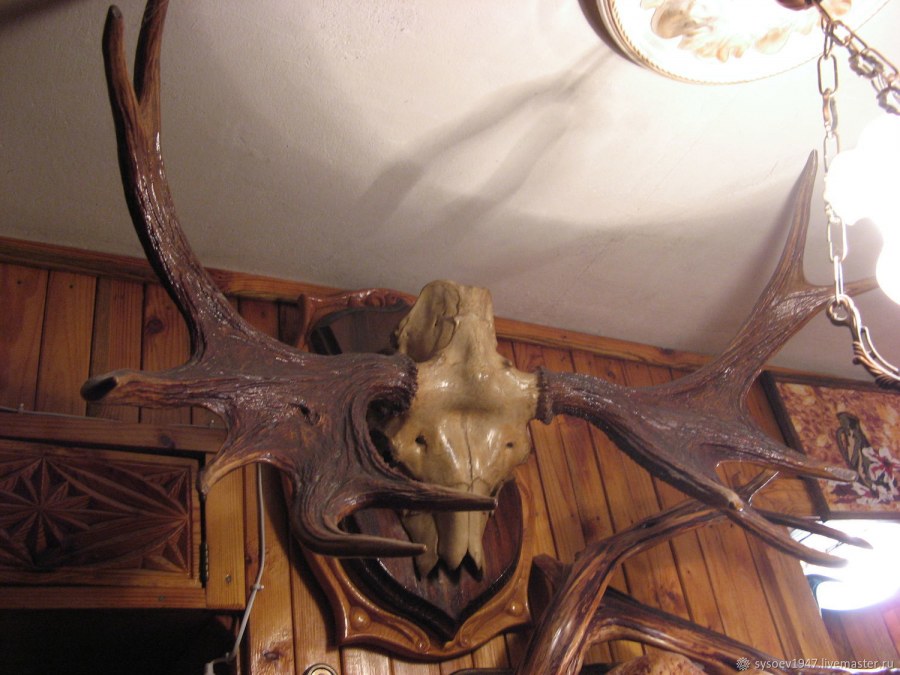 Настенное украшение рога