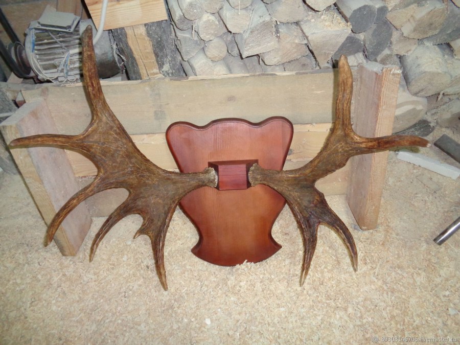 Деревянный стол с прозрачными стульями