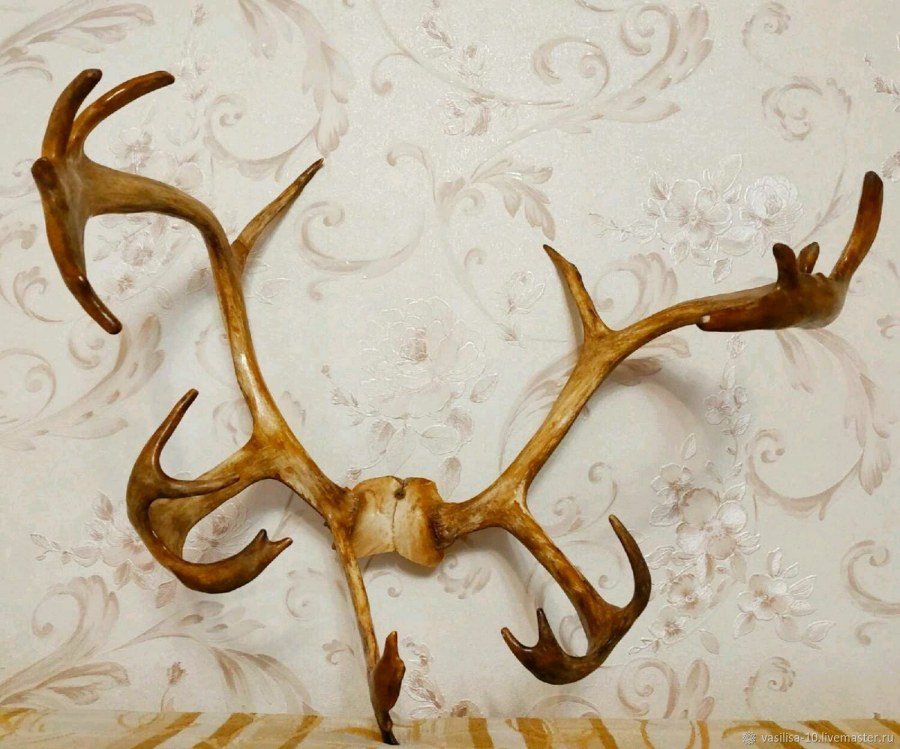 Оригинальные вешалки