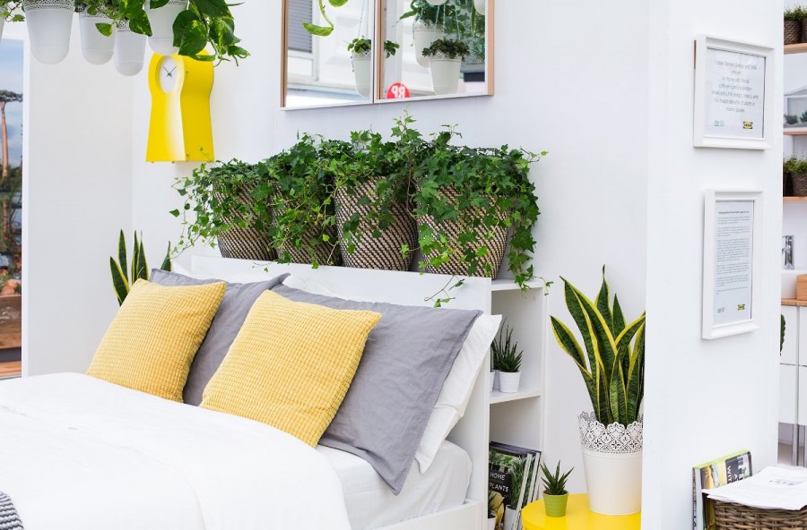Растения в интерьере спальни