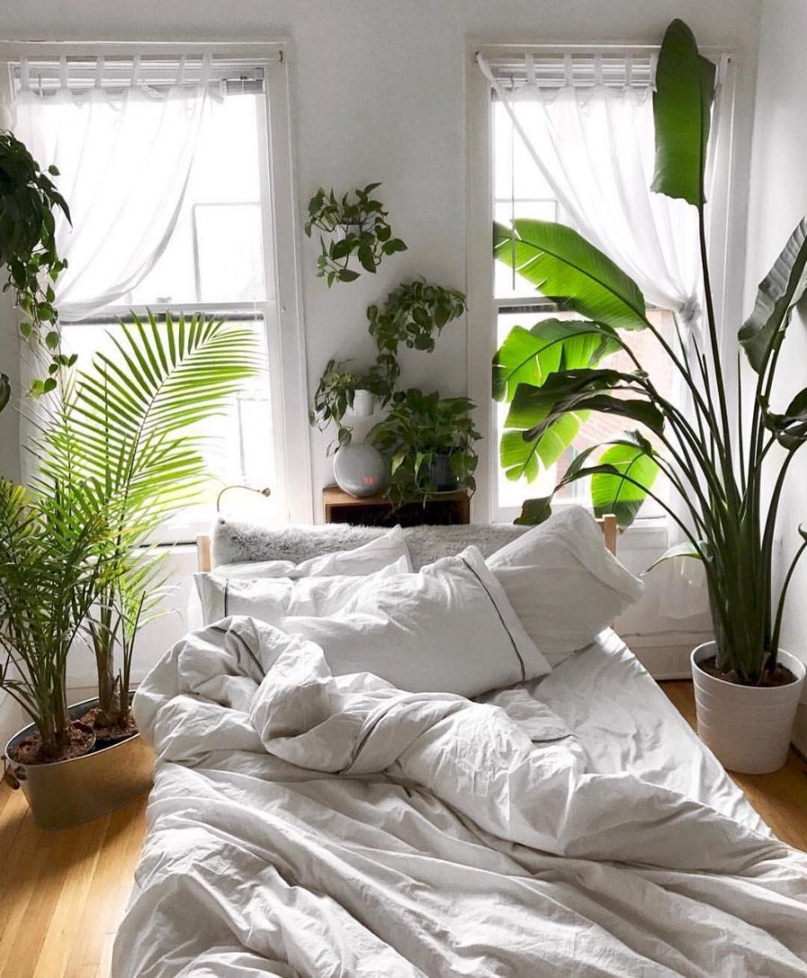 Озеленение спальни