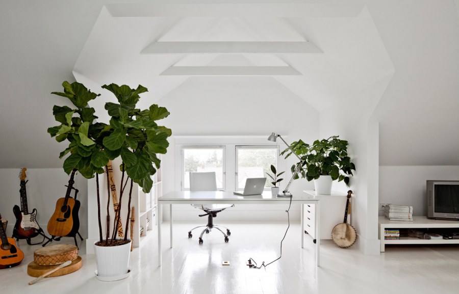 Растения в белом интерьере