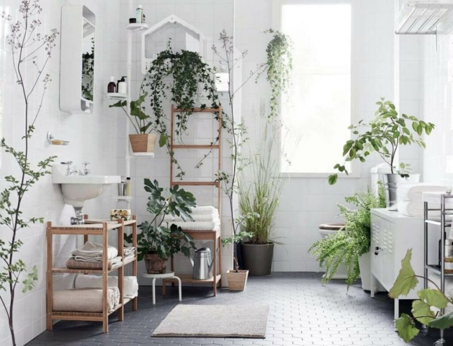 Растения в интерьере