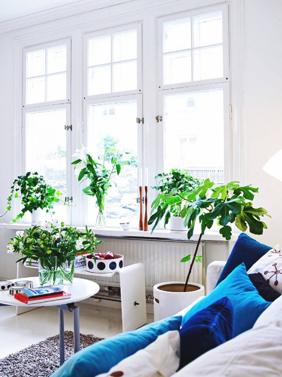 Цветы в скандинавском интерьере