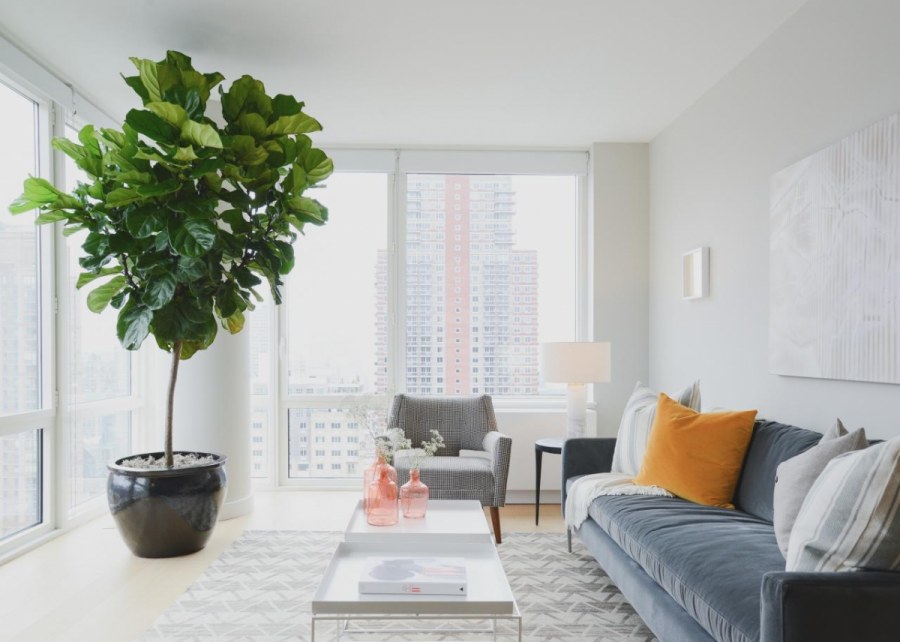 Комната с растениями