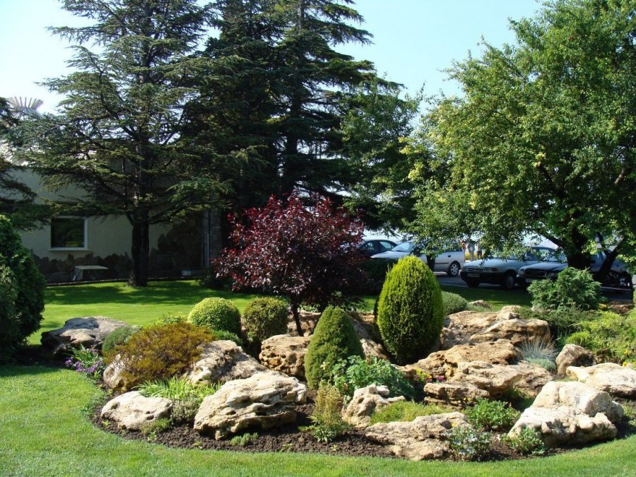 Рокарий Каменистый сад