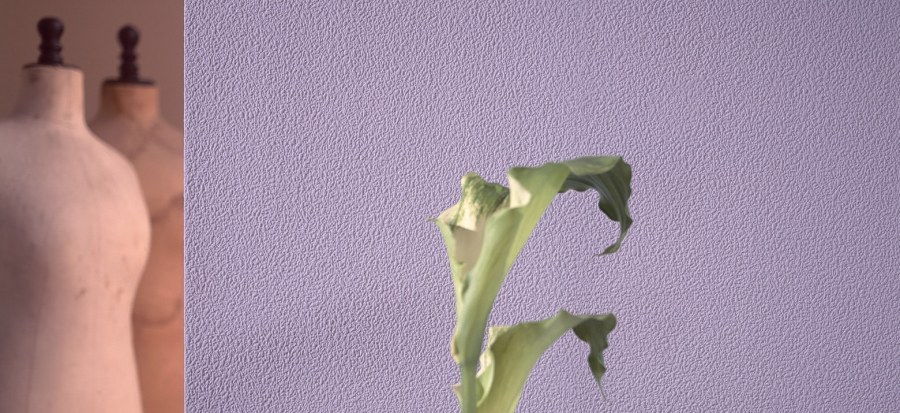 Покраска стен под обои