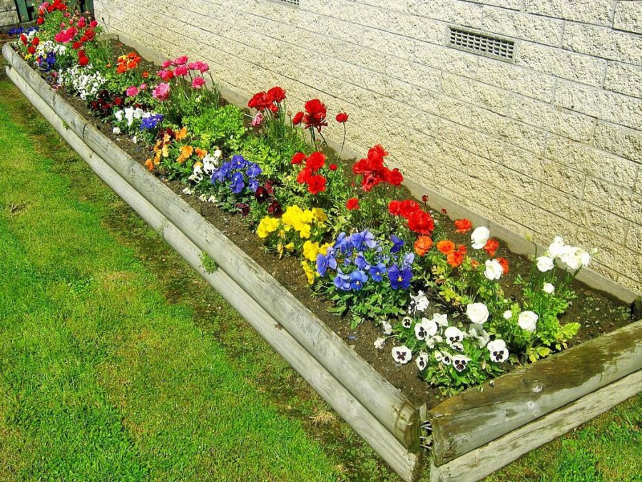 Цветочные клумбы своими руками