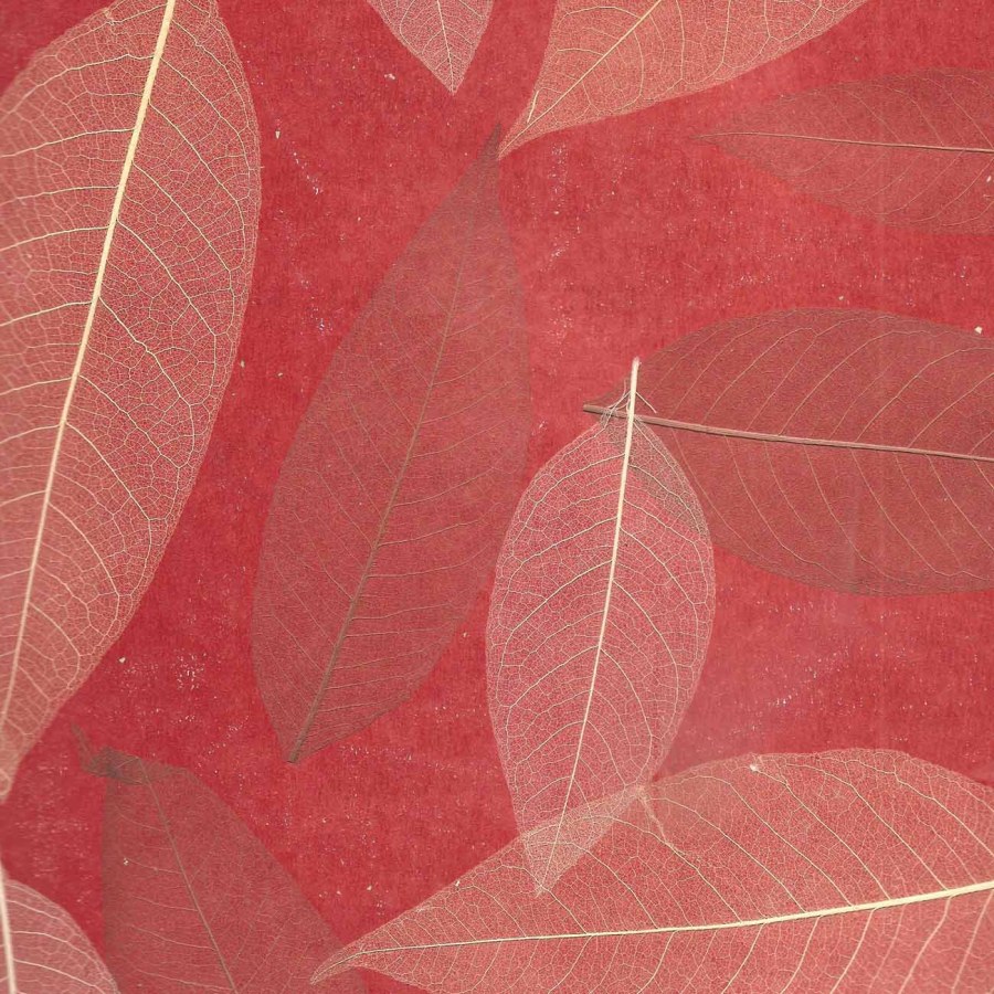 Cosca листья "Прима Ахумадо"