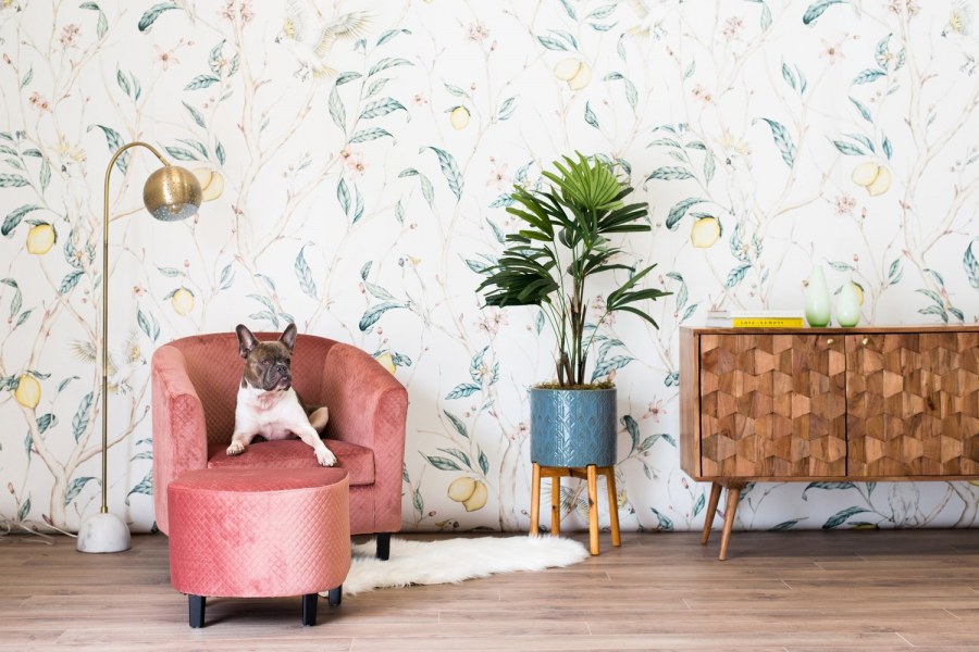 The Verbena Lemon Tree обои