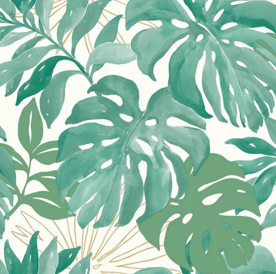 Темно зеленые листья