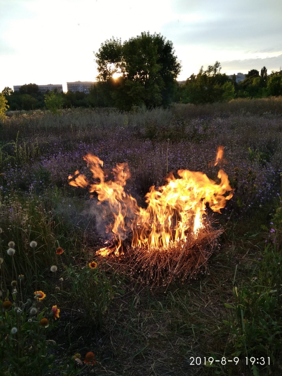 Кострище на даче