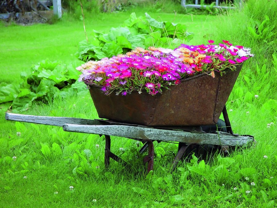 Костровая чаша-сфера кони 60/4