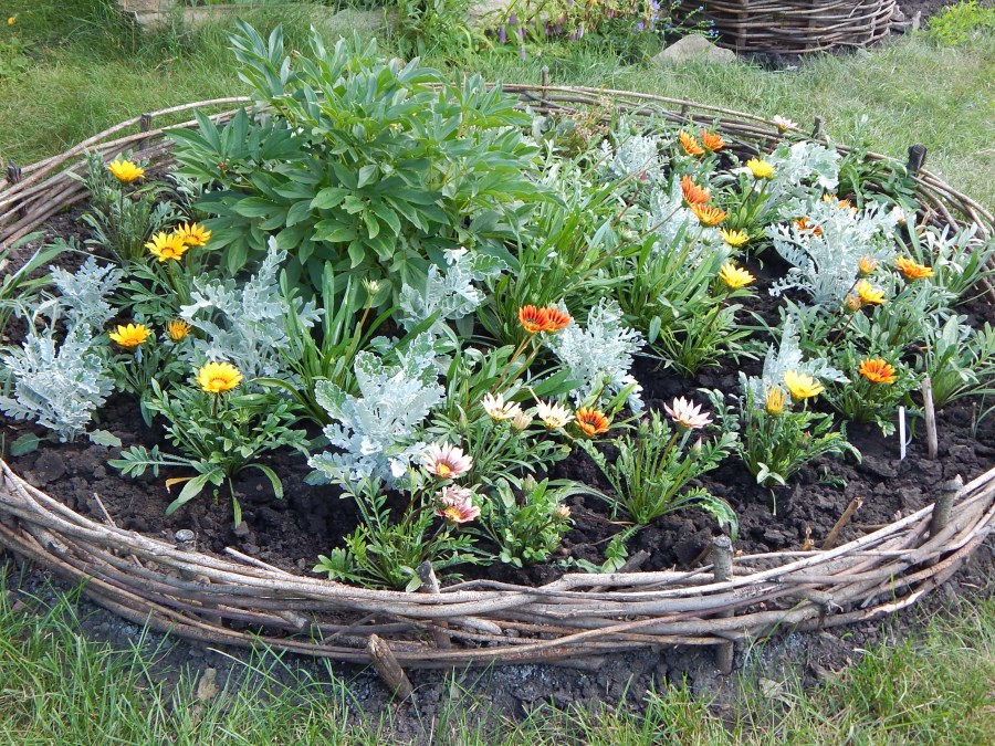 Необычные клумбы