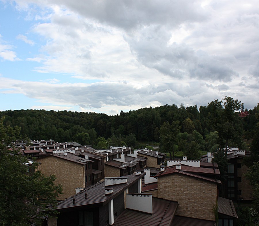 Олимпийская деревня Новогорск Винер