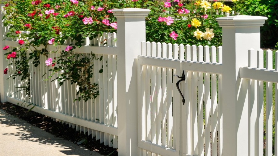 Палисадник перед забором Англия